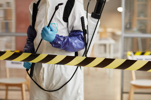Professional Trauma Scene Cleanup technician working in Coupland, TX